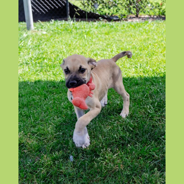 Photo of Charlie