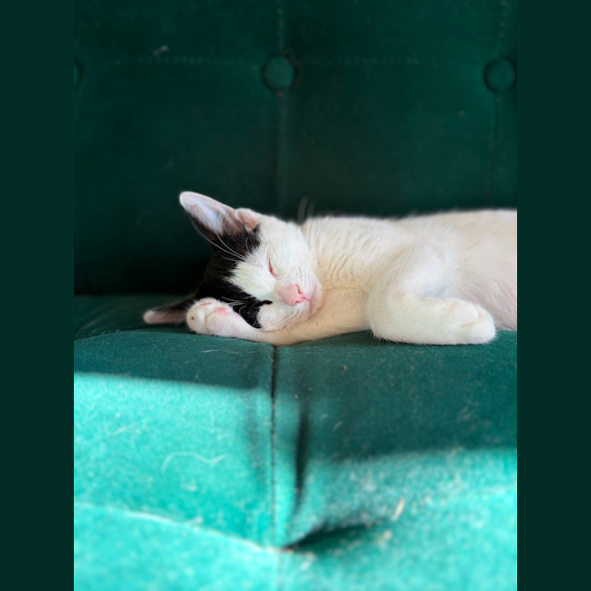 Photo of Minnie