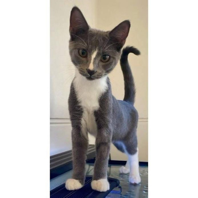 Photo of 11974   Darby