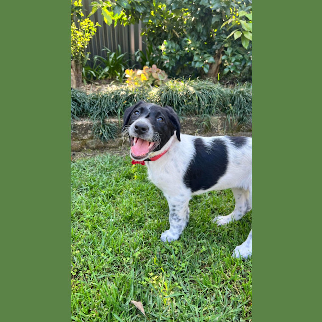 Photo of Luna