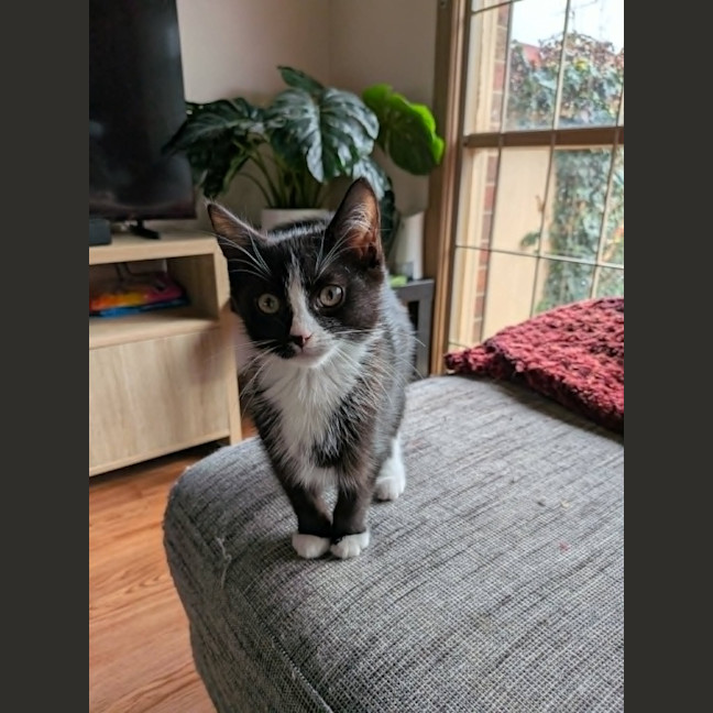 Photo of Nigel