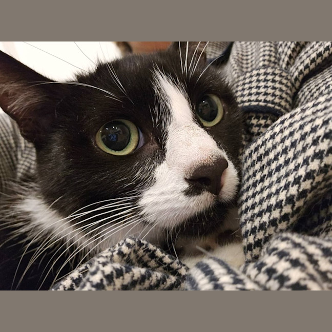 Photo of Mieka And Loki