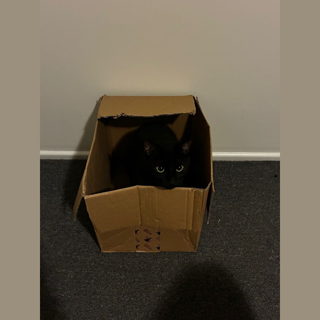Photo of Batman