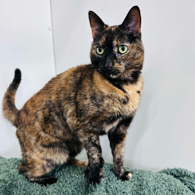 Photo of Kitlyn   Located In Preston