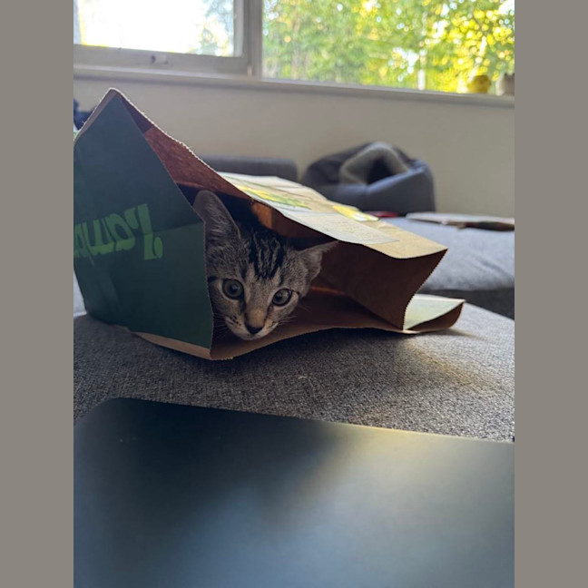 Photo of Liza   Located In Armadale