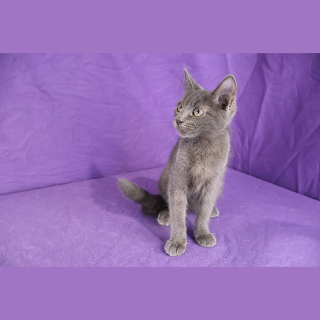 Photo of Valjean