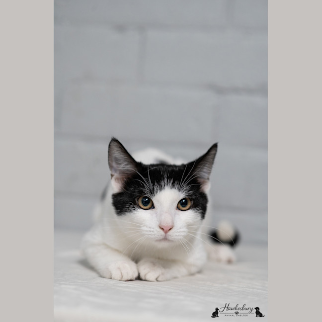 Photo of Jenny