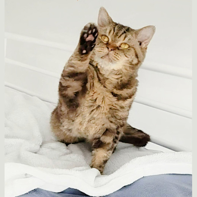 Photo of 🥜Carmen🥜