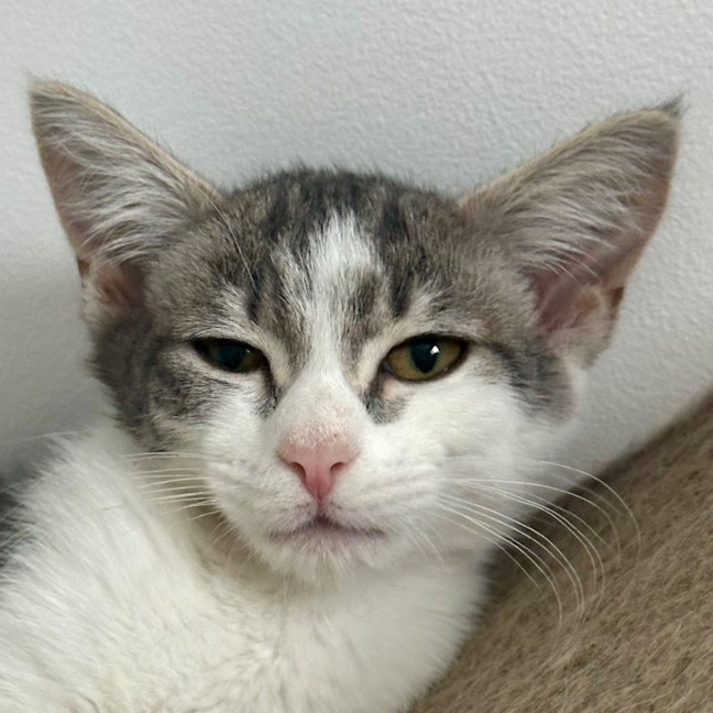 Photo of Esme