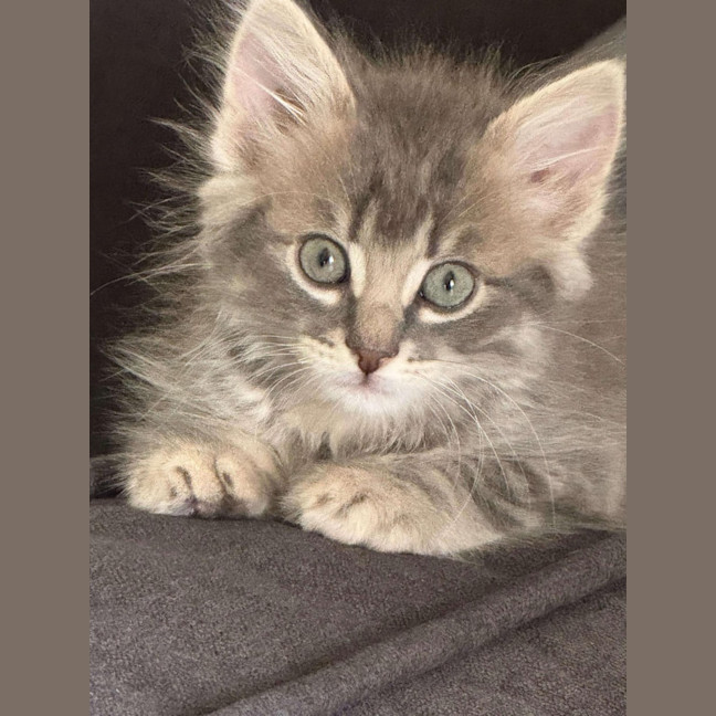 Photo of Maurice 💙