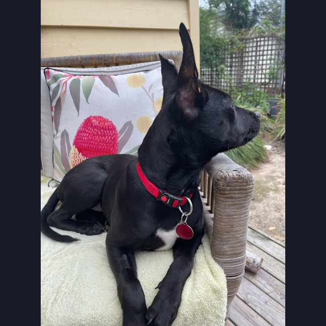 Photo of Kaida