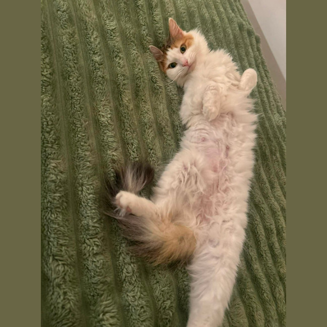 Photo of Missy
