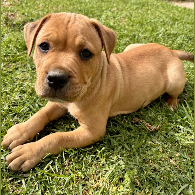 Photo of Murphy