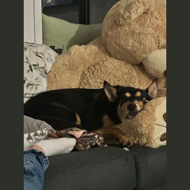 Photo of Blossom