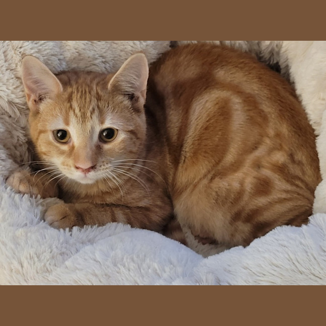 Photo of Chloe