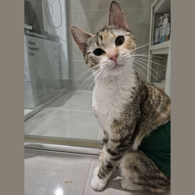 Photo of Matilda