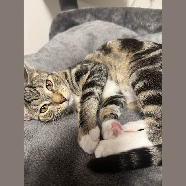 Photo of Wednesday 💕