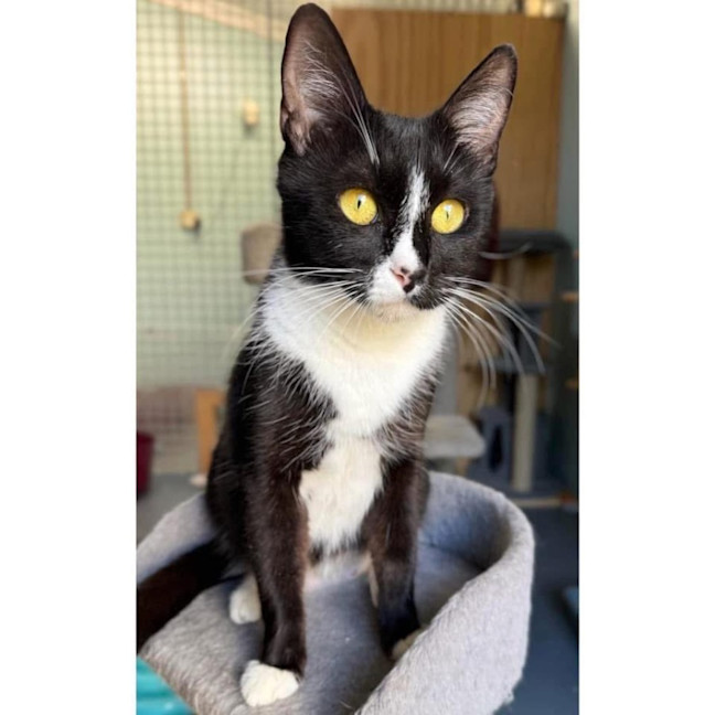 Photo of 11220   Patsy