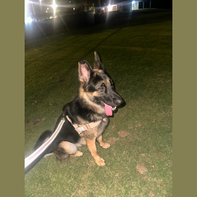 Photo of Tank