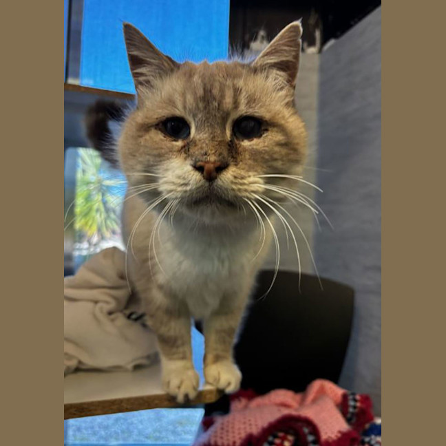 Photo of Speedboat Willy