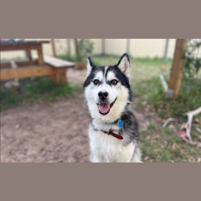 Photo of Tiny Tina