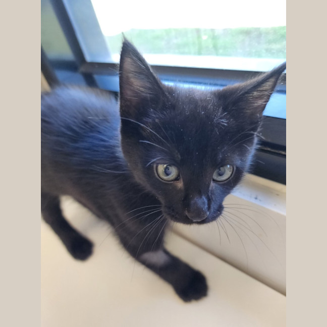 Photo of Nimbus And Storm