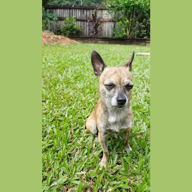 Photo of Milly 