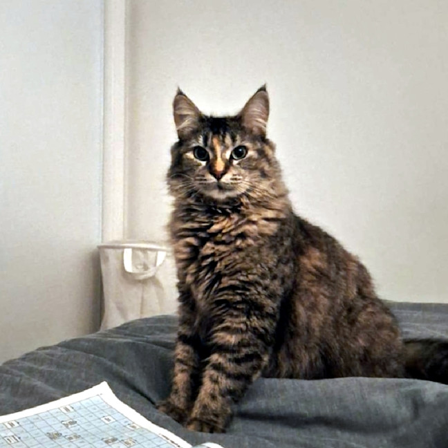 Photo of Celia Sta013621