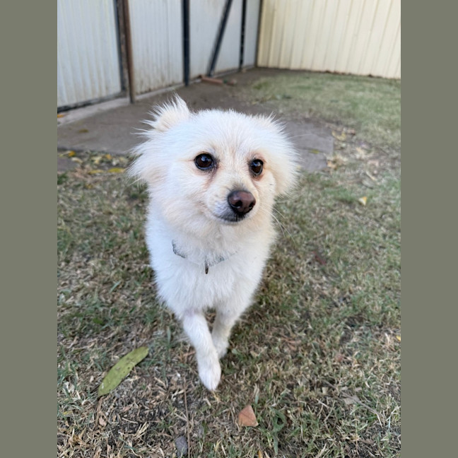 Photo of Herbie
