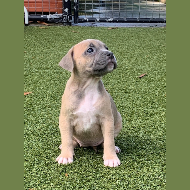 Photo of D1111 Ri Ri