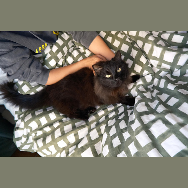 Photo of Rollie