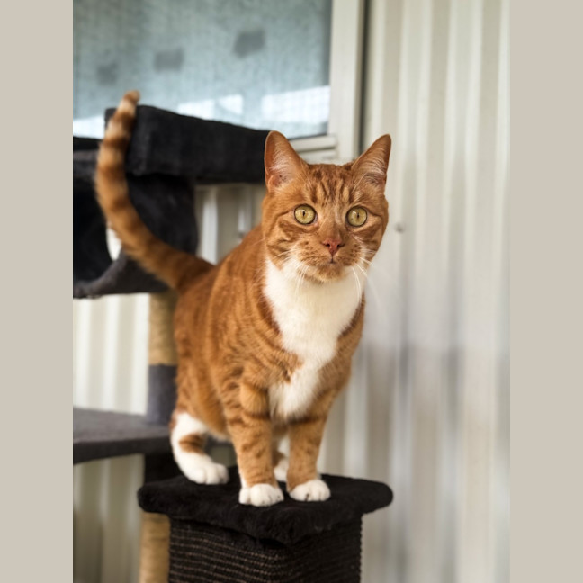 Photo of Sammy 