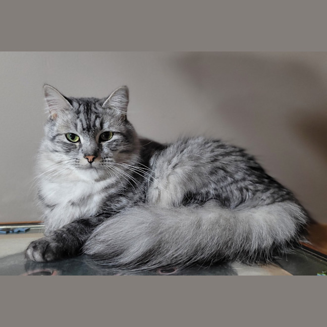 Photo of Randy