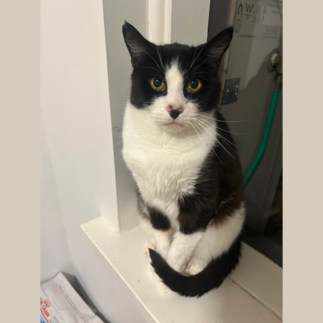 Photo of Raymond ❤️