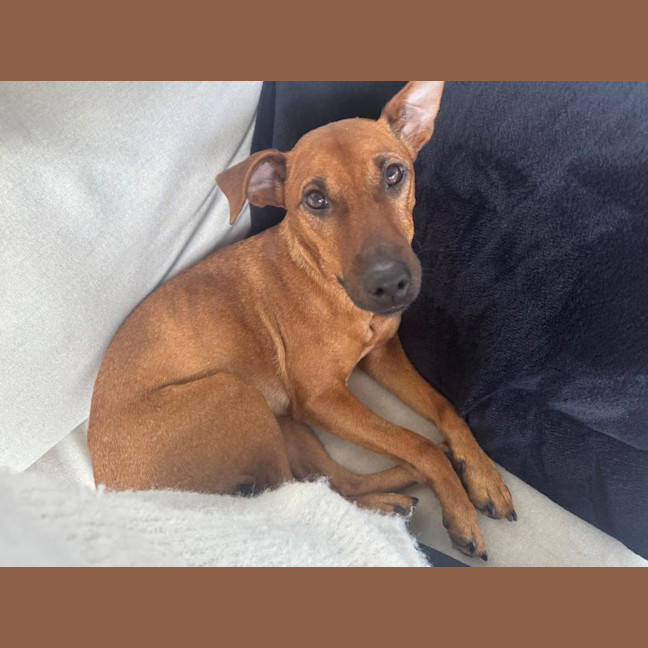 Photo of Missy Peggotty