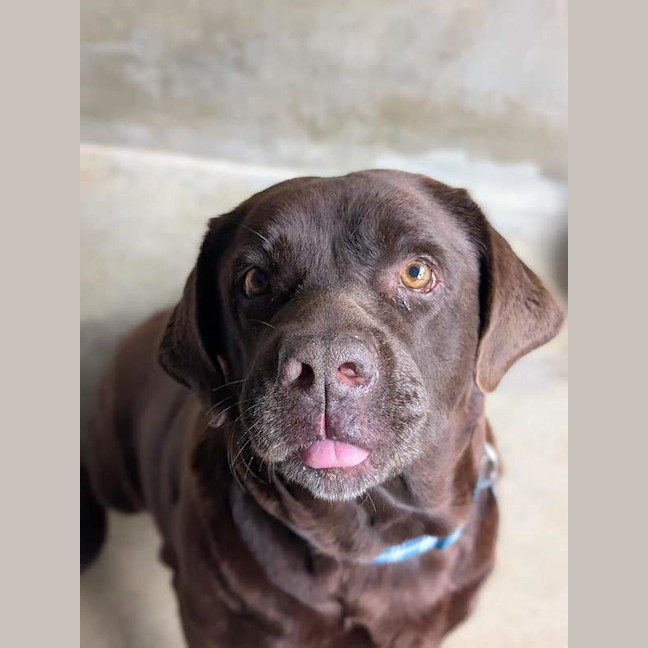 Photo of Coco