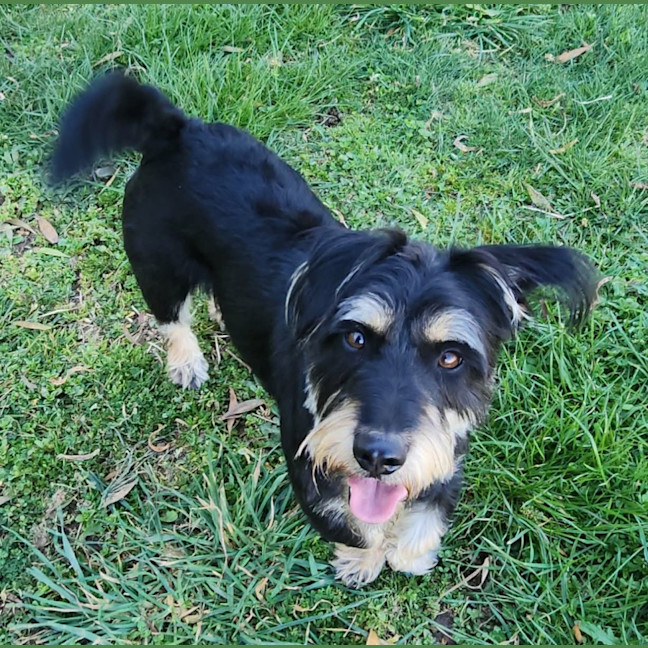 Photo of Tex