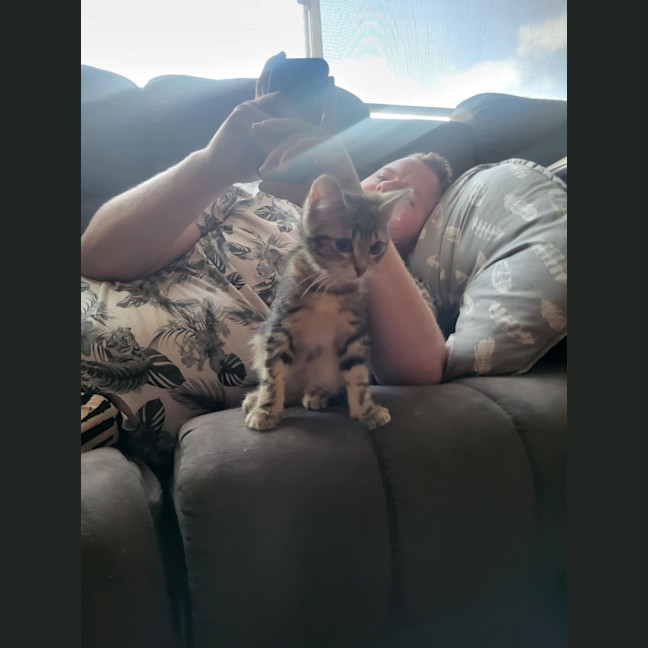 Photo of Hiccup Meet Me @Petstock Carrum Downs Store 