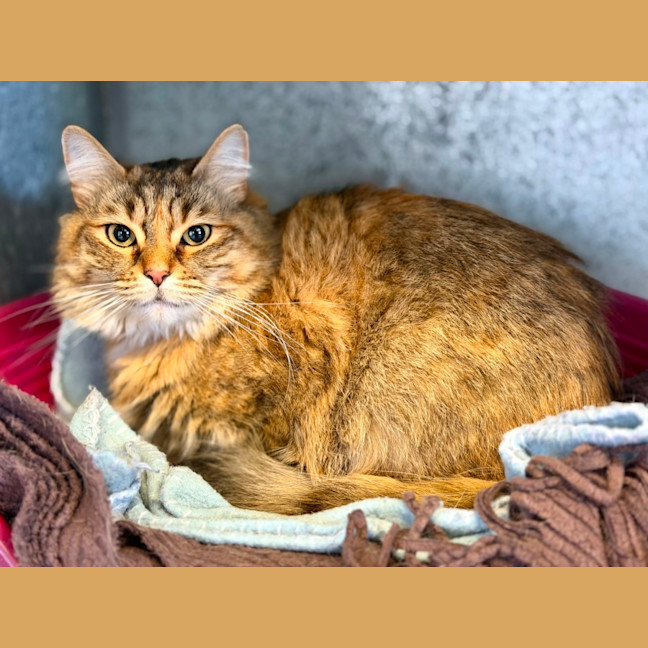 Photo of Beatrix