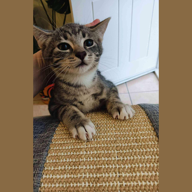 Photo of Ash