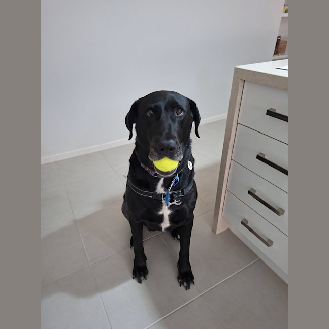 Photo of Milly