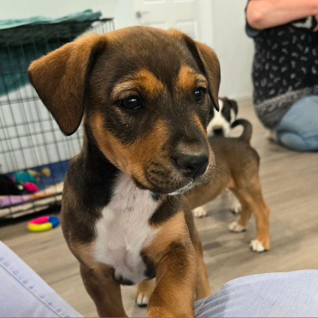 Photo of Princess Bubblegum