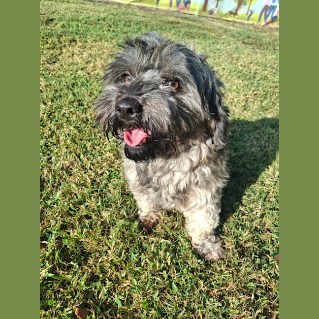 Photo of Rivera (Aka Jimmy)