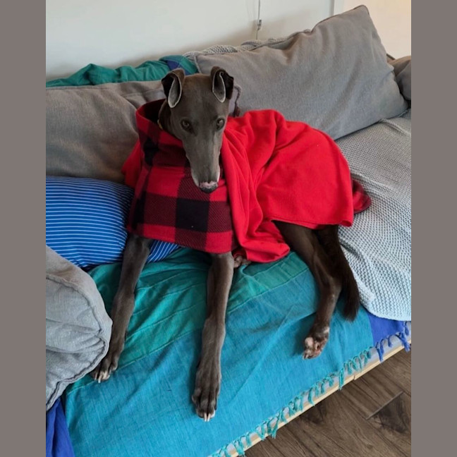 Photo of Cash