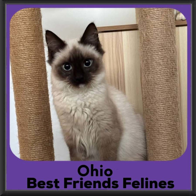 Photo of Ohio 