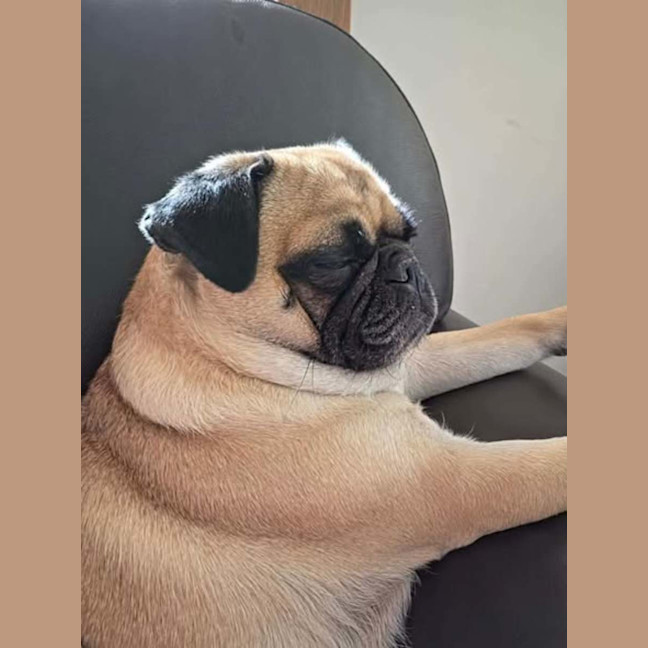 Photo of Miss Daisy