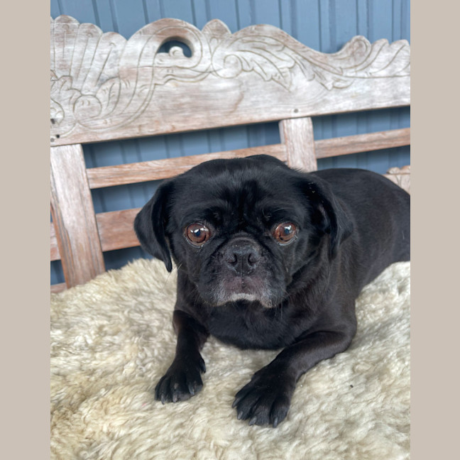 Photo of Audrey 🌱