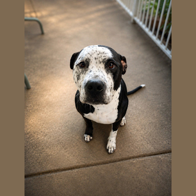 Photo of Zeus