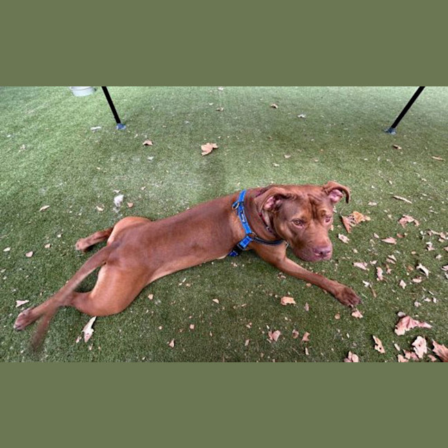 Photo of Maggie