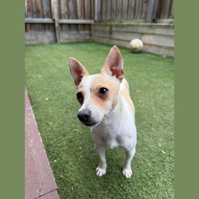 Photo of Miss Stevie